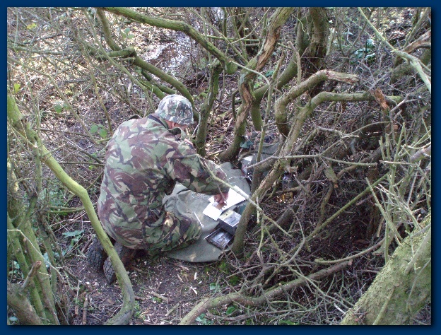 600x449 pixels (213K)